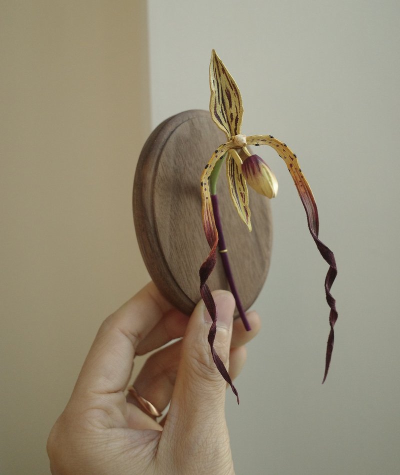現貨 麥克仙履蘭配胡桃木展示板 - 擺飾/家飾品 - 真皮 