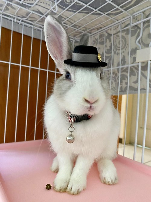 Avondream 手創小舖 Q2-手工寵物生日帽子寵物髮飾頭套兔兔牽繩衣配件兔子-歐洲禮帽