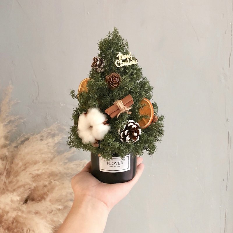 シダーの小さなクリスマスツリー - ドライフラワー・ブーケ - 寄せ植え・花 