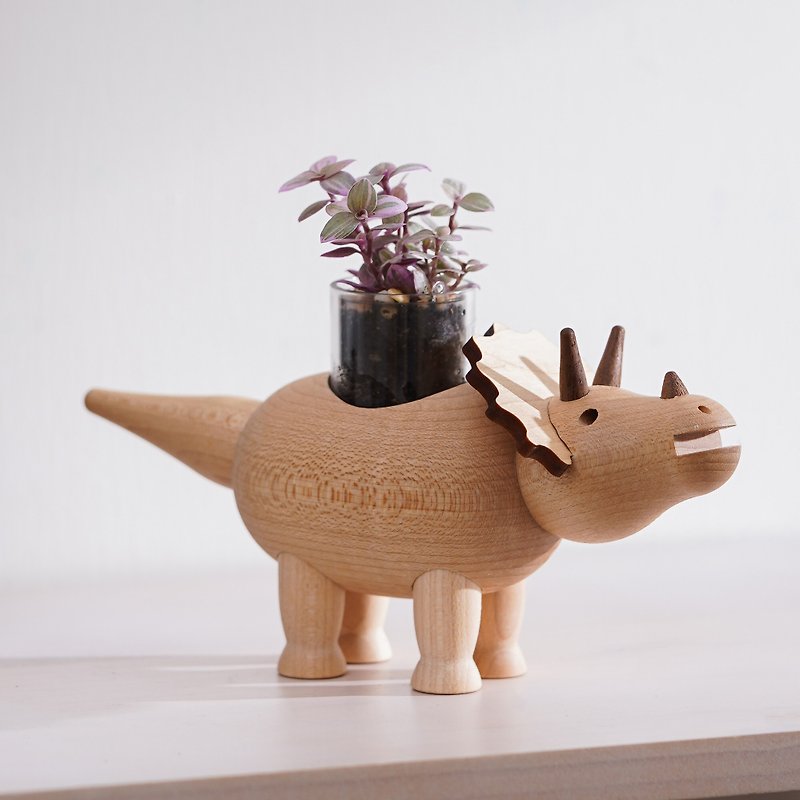 [Rouge Cloud] Succulent plants do not include dinosaur potted plants, please place orders separately | Shi Guang - ตกแต่งต้นไม้ - พืช/ดอกไม้ 