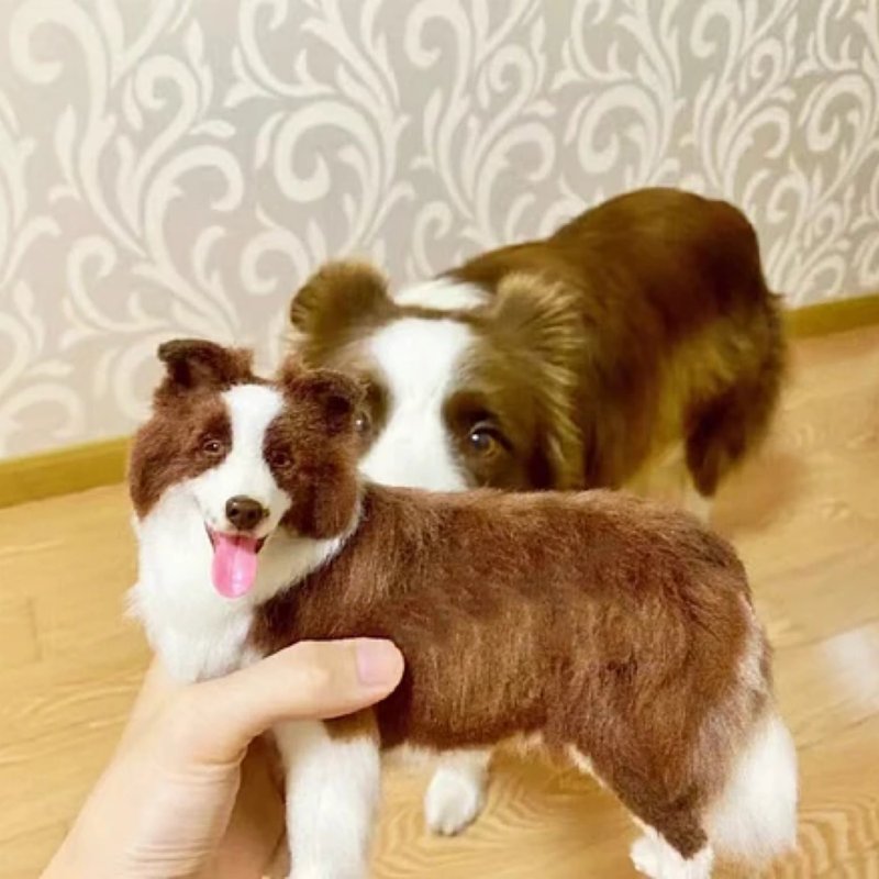 客制化逼真犬 羊毛氈 邊境牧羊犬 寵物 娃娃 定制 狗狗猫咪 145 - 貓/狗玩具 - 羊毛 多色