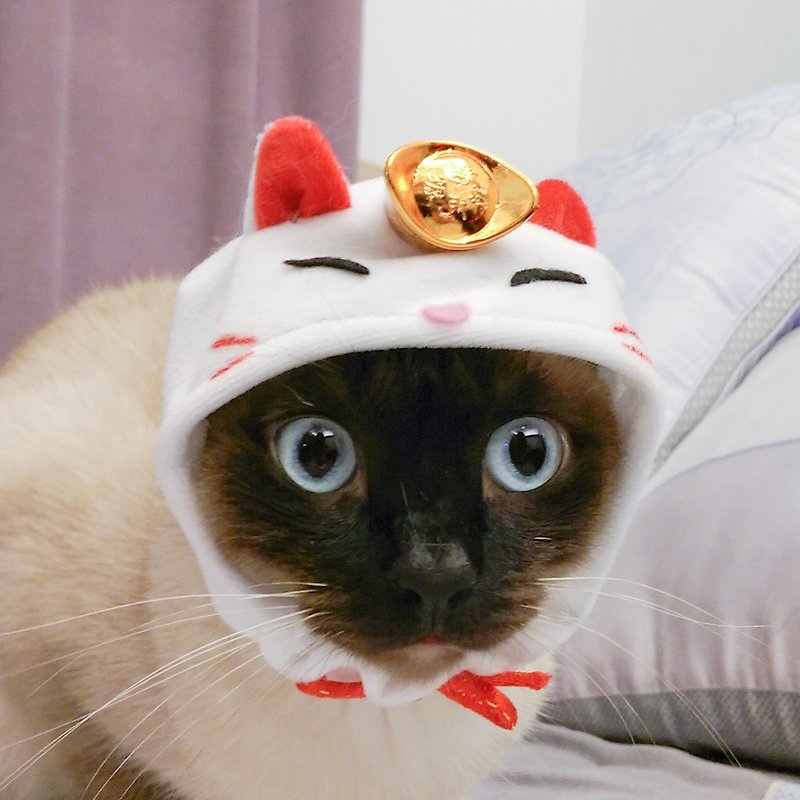 新年限定* 招財貓造型寵物帽子頭套 - 寵物衣服 - 聚酯纖維 白色