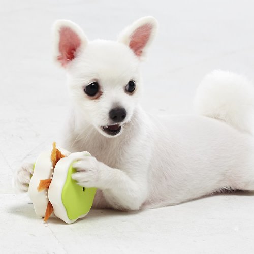 韓國YogiPet 與毛孩的美好生活小物 抗菌98.7% 狗寶貝食物夾夾樂(檸檬綠)