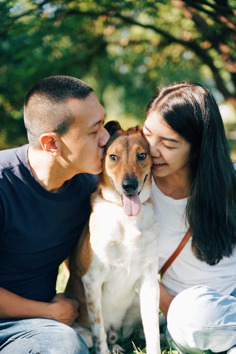 Woof Luck 寵物攝影、狗狗攝影、毛孩攝影、柯爾鴨攝影 - 攝影/心靈/講座 - 其他材質 