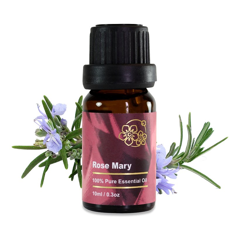 Rosemary essential oil Rosemary 10ml - Fragrances - Essential Oils Purple