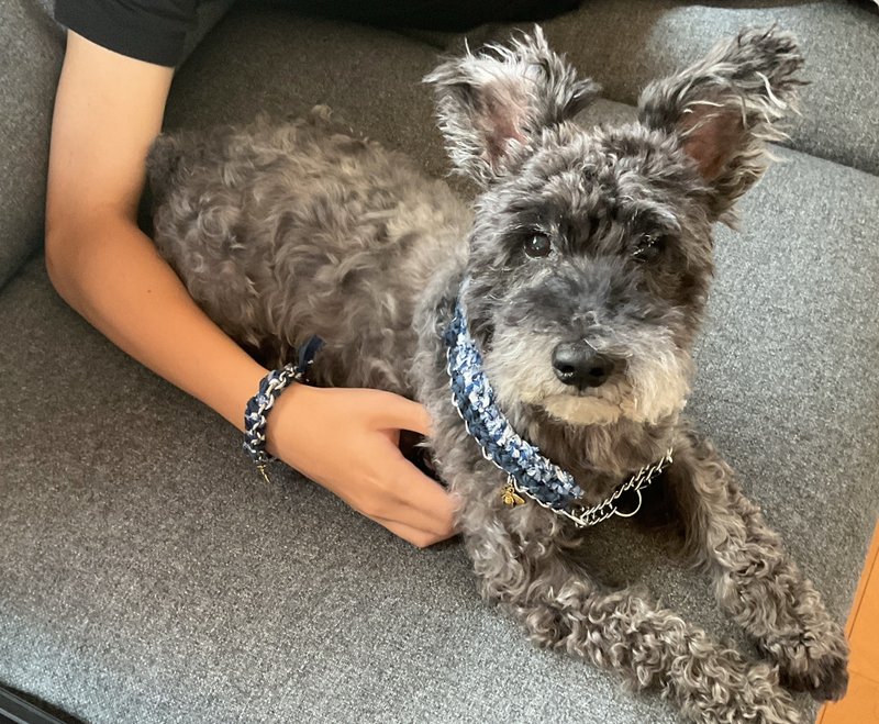 アップサイクル　ペットペア　dog collar & bracelet　ブルー Sサイズ - 項圈/牽繩 - 棉．麻 藍色