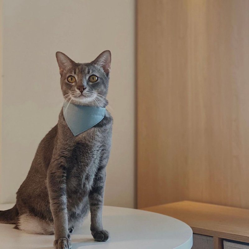 Teal Blue Bandana Breakaway Cat Collar | Soft Safety Cat Collar - Collars & Leashes - Cotton & Hemp Blue