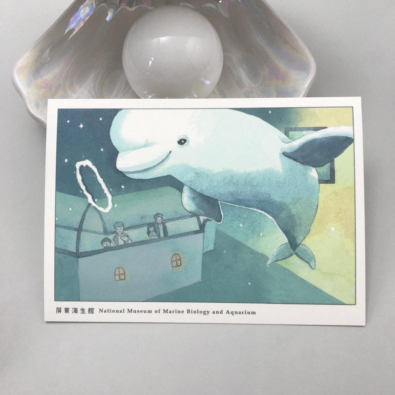 海生館小白鯨 - 明信片 - 卡片/明信片 - 紙 藍色