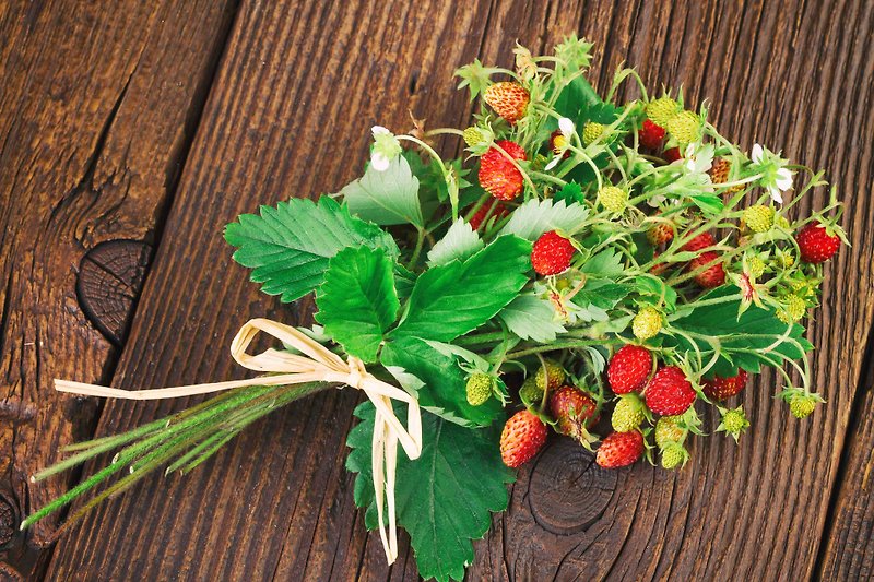 Candy Strawberry/Cultivation Combination - ตกแต่งต้นไม้ - พืช/ดอกไม้ สีแดง