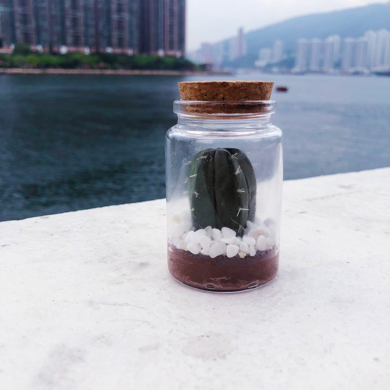 【訂貨】許願瓶造型黏土多肉盆栽- 仙人掌 - 盆栽/植栽 - 黏土 