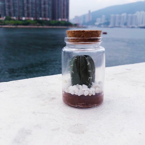 Waterless Succulent 【訂貨】許願瓶造型黏土多肉盆栽- 仙人掌