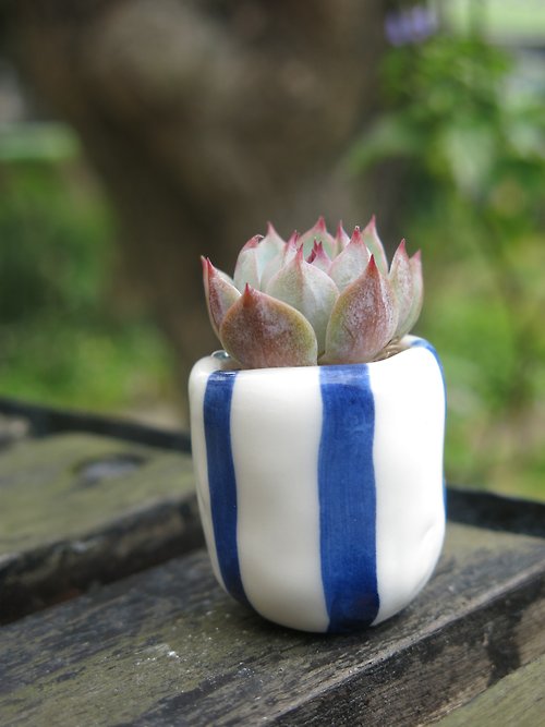 王榕手作陶 手作白瓷小盆栽-深淺藍線條經典款|生日禮物
