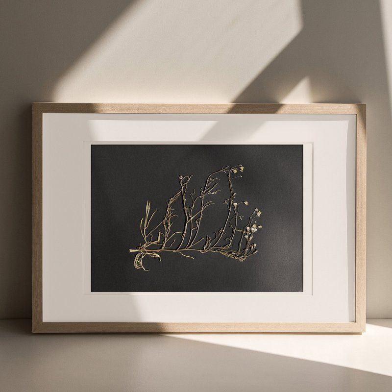 Horizontal Dried Wildflower Plant Minimalist Black Original Artwork Wall Decor - 壁貼/牆壁裝飾 - 紙 黑色