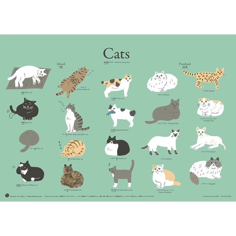 Poster/cats - โปสเตอร์ - กระดาษ สีเขียว