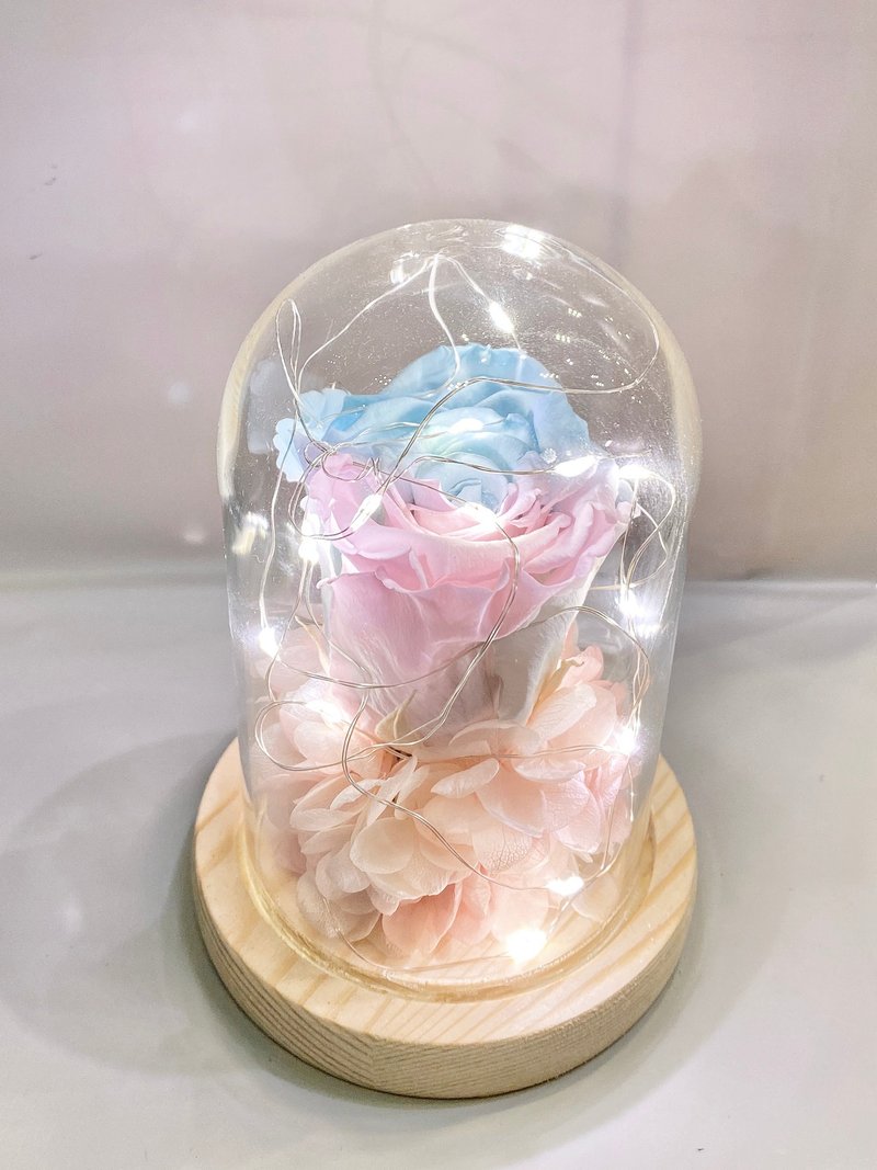 不凋花玫瑰 永生花玻璃盅 有燈款 - 乾燥花/永生花 - 植物．花 多色