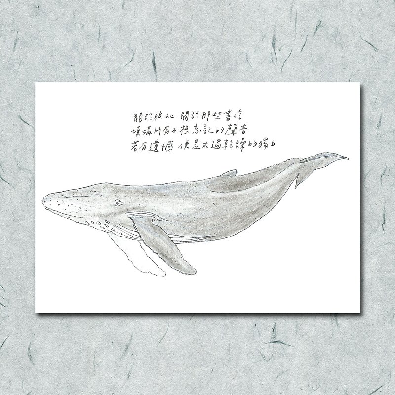 動物與牠的詩23/ 座頭鯨/ 手繪 /卡片 明信片 - 心意卡/卡片 - 紙 