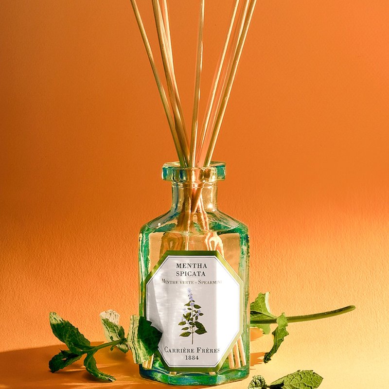 Carrière Frères mint diffuser bottle - น้ำหอม - แก้ว สีใส