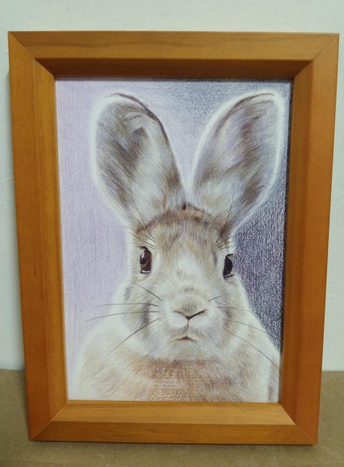 装飾/うさぎ/色鉛筆画/直筆原稿/額装 - ショップ Lin