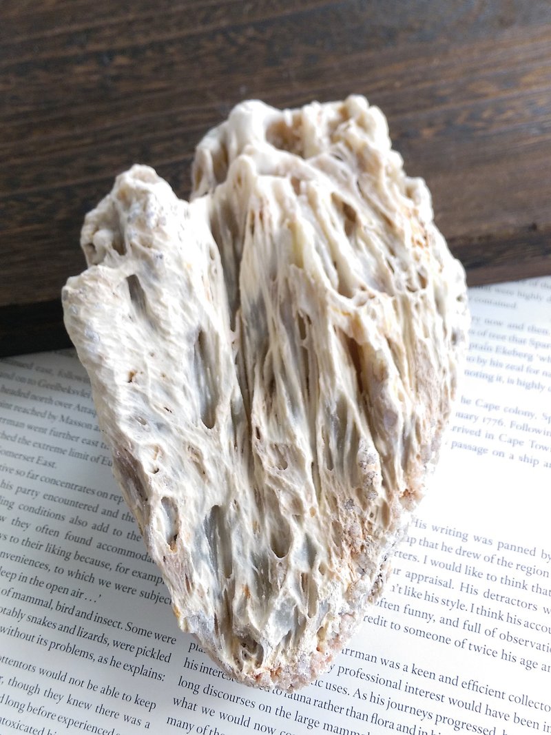 Agate 馬達加斯加產地 瑪瑙 天然礦石 原礦 - 擺飾/家飾品 - 其他材質 