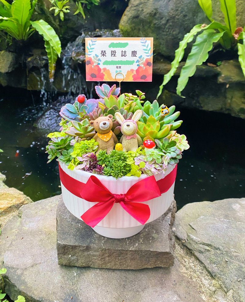 【急單可/免費客製卡片】多肉盆栽/送公仔/安全運送/附底盤 直送 - 盆栽/植栽 - 植物．花 綠色