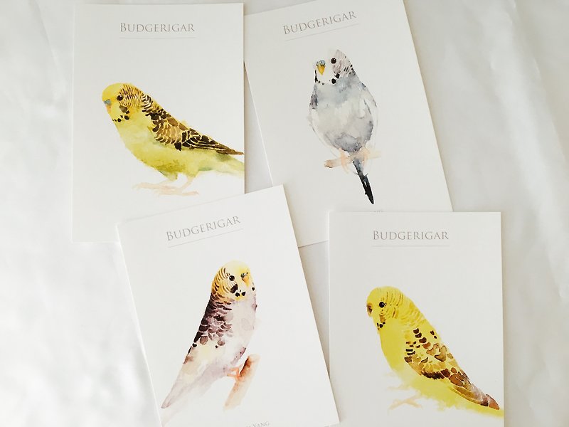 Birds Postcard Group Q Tiger Skin - การ์ด/โปสการ์ด - กระดาษ 