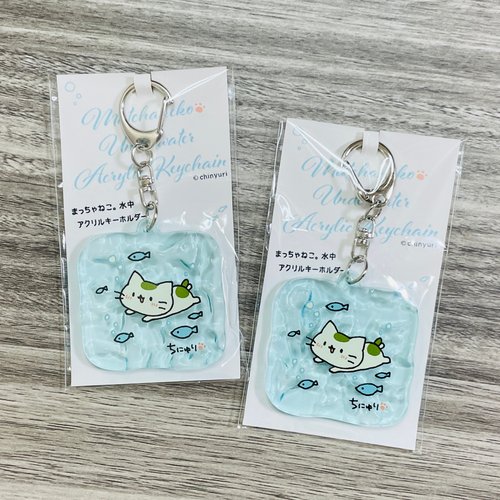 水中アクリルキーホルダー - ショップ ちにゅり の おみせ (まっちゃ