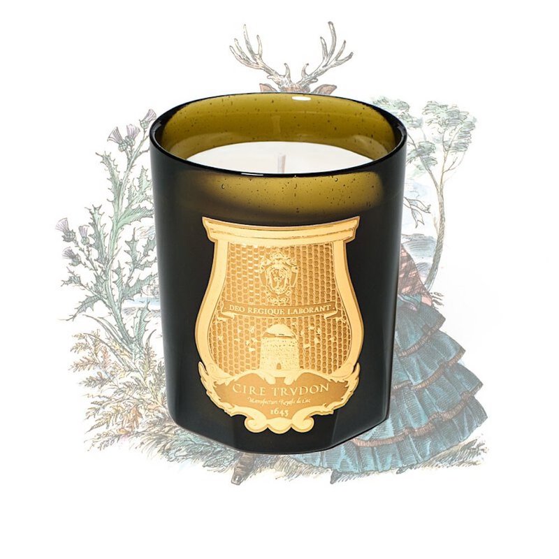 Cire Trudon 濕土與草地香氛蠟燭 - 香氛蠟燭/燭台 - 玻璃 卡其色