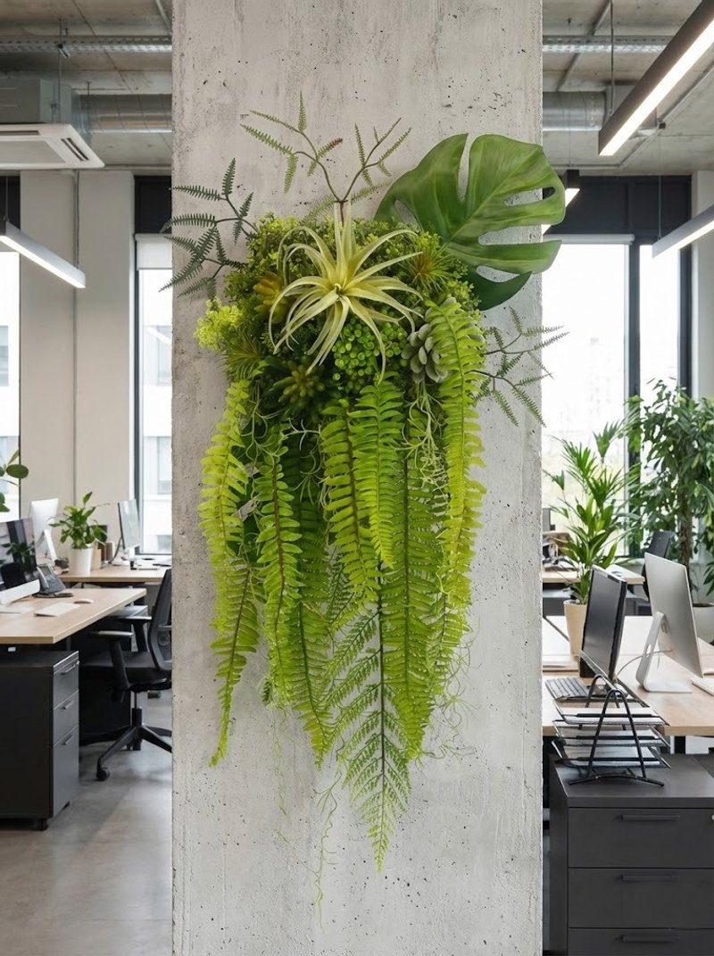 蕨類植物空氣鳳梨植物框飾/入厝禮/開幕/喬遷/送禮/植栽 - 盆栽/植栽 - 其他材質 綠色