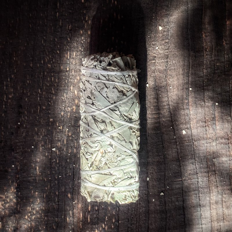 白鼠尾草 (White sage) 淨化消磁 獨立包裝 - 香氛/精油/擴香 - 植物．花 白色