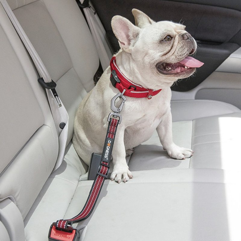 【DOGNESS 多尼斯】寵物汽車安全帶 戶外用品 寵物 貓 - 項圈/牽繩 - 其他材質 多色