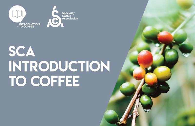 Specialty Coffee Association (SCA) Introduction to Coffee - Cuisine - Other Materials 