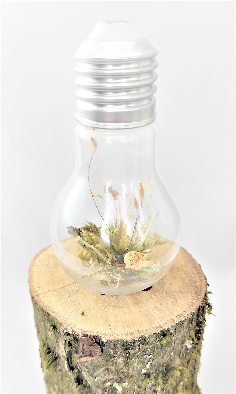 Light bulb  terrarium  1 piece,  terrarium with lichen, real moss and mushrooms - ช่อดอกไม้แห้ง - พืช/ดอกไม้ สีกากี
