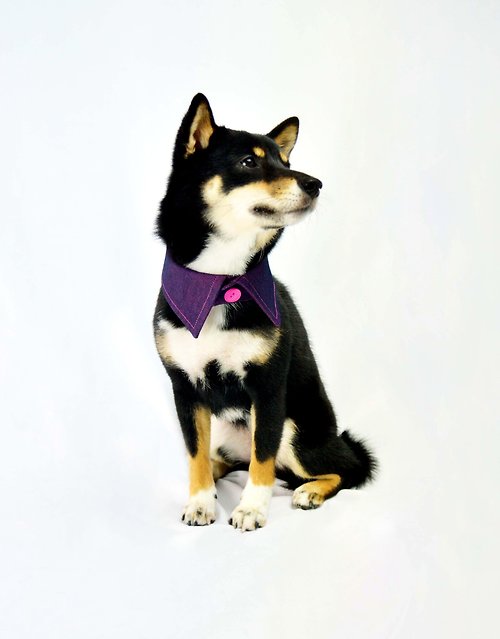 Petsion寵物時尚 寵物雙面襯衫領- 桃紫色PK (XL/2XL/3XL)