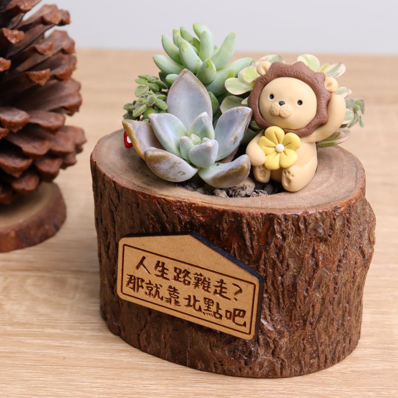 Milk Tea Little Lion Succulent Plant Potted Plant Lettering Customization | Promotion, resignation, birthday, Christmas exchange gift - ตกแต่งต้นไม้ - ไม้ สีกากี