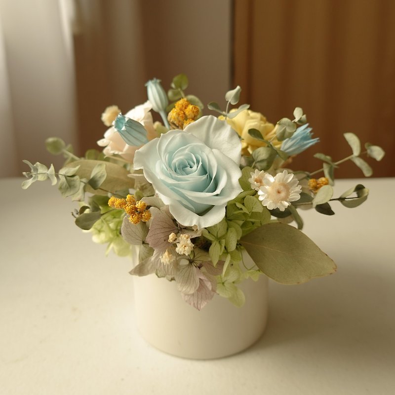 Small Preserved Flower Pot - Light Pink Blue - Dried Flowers & Bouquets - Plants & Flowers Blue