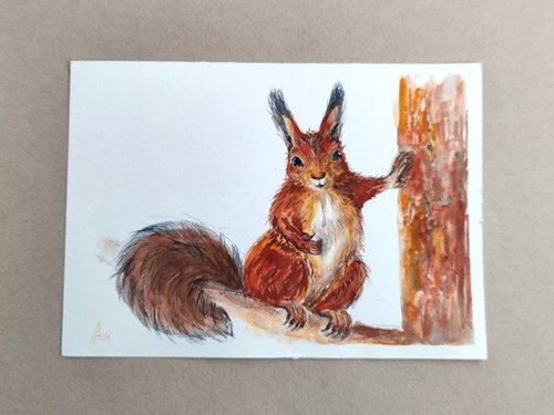 水彩画 リスのひょっこりはん 水彩画 リスのひょっこりはん