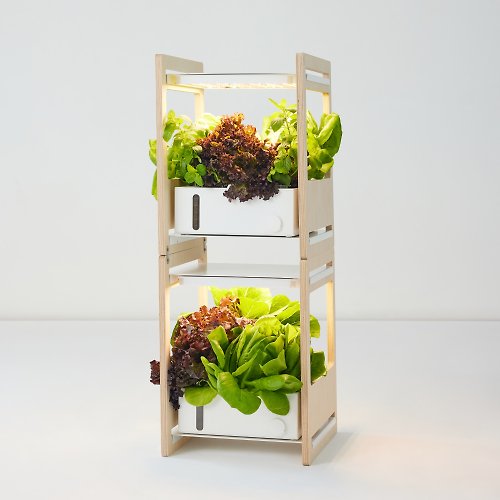 veggroom Veggroom層疊式全自動水耕蔬菜種植架