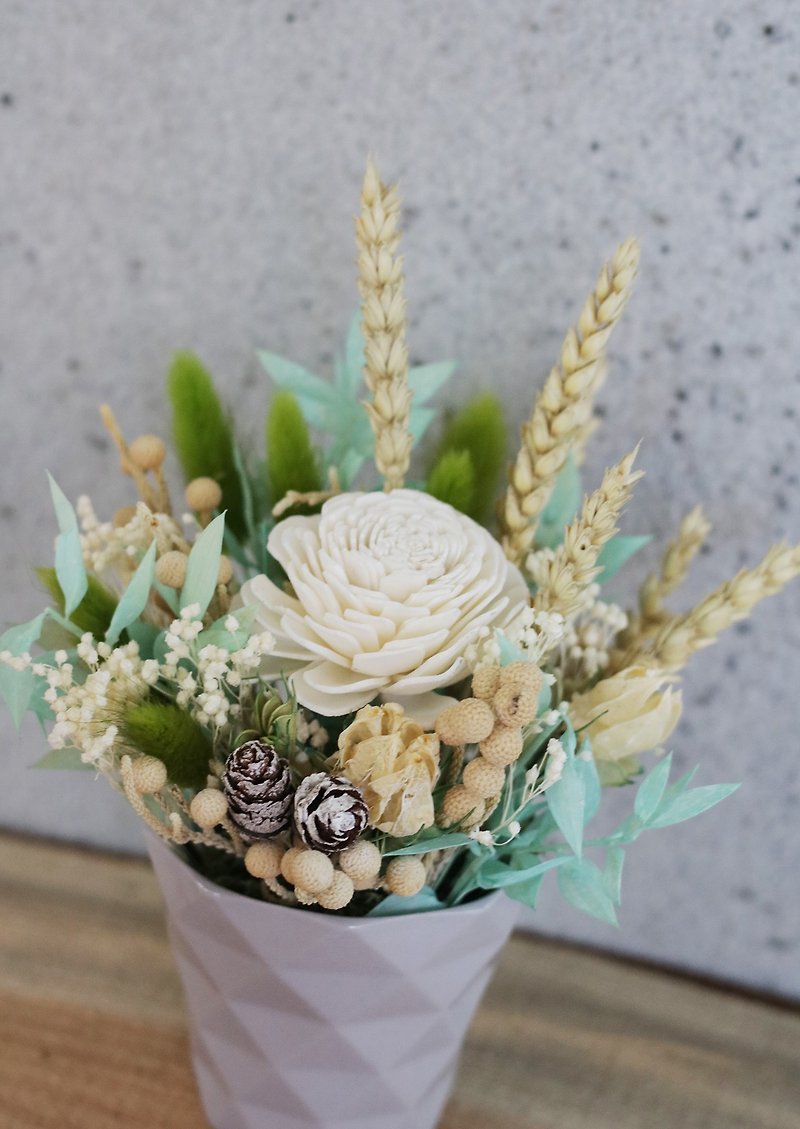 FLORA Dry Flower Ceremony Dry Small Potted Flower - Dried Flowers & Bouquets - Plants & Flowers Green