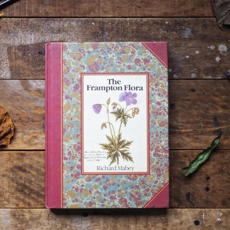英國小鎮弗蘭普頓植物集 - 刊物/書籍 - 紙 黃色