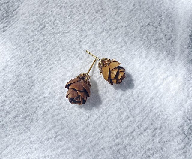 Dried fruit seeds - small pine cones - clover earrings - Shop Pottery  Flower Earrings & Clip-ons - Pinkoi