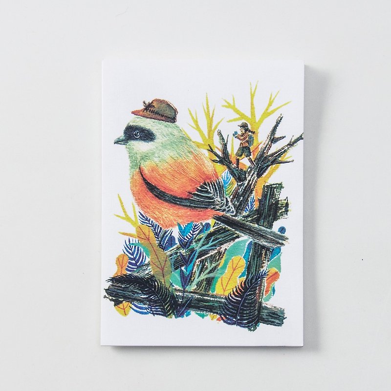 BIRDER Series - Black-headed Shrike - Cards & Postcards - Paper White