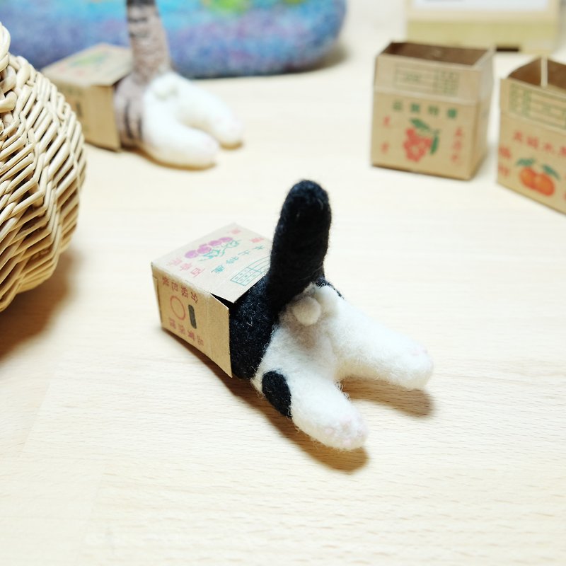 Sheep felted into the fruit box Cat fart - black and white lynx cat - Items for Display - Wool 