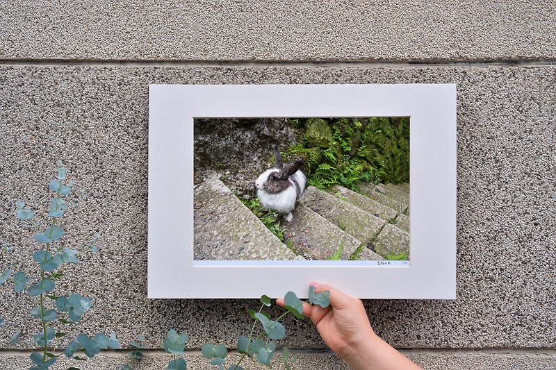 オリジナルの限定版ウサギ写真アートレベル - 置物 - 紙 グレー