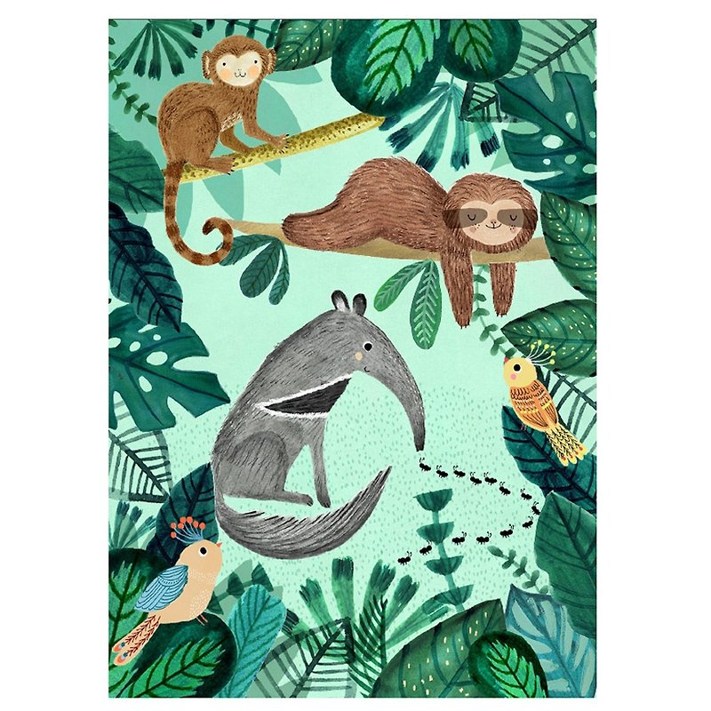 オランダのプチモンキー ジャングル動物シリーズ ポスター - アリクイとナマケモノ (50 x 70 cm) - カード・はがき - 紙 