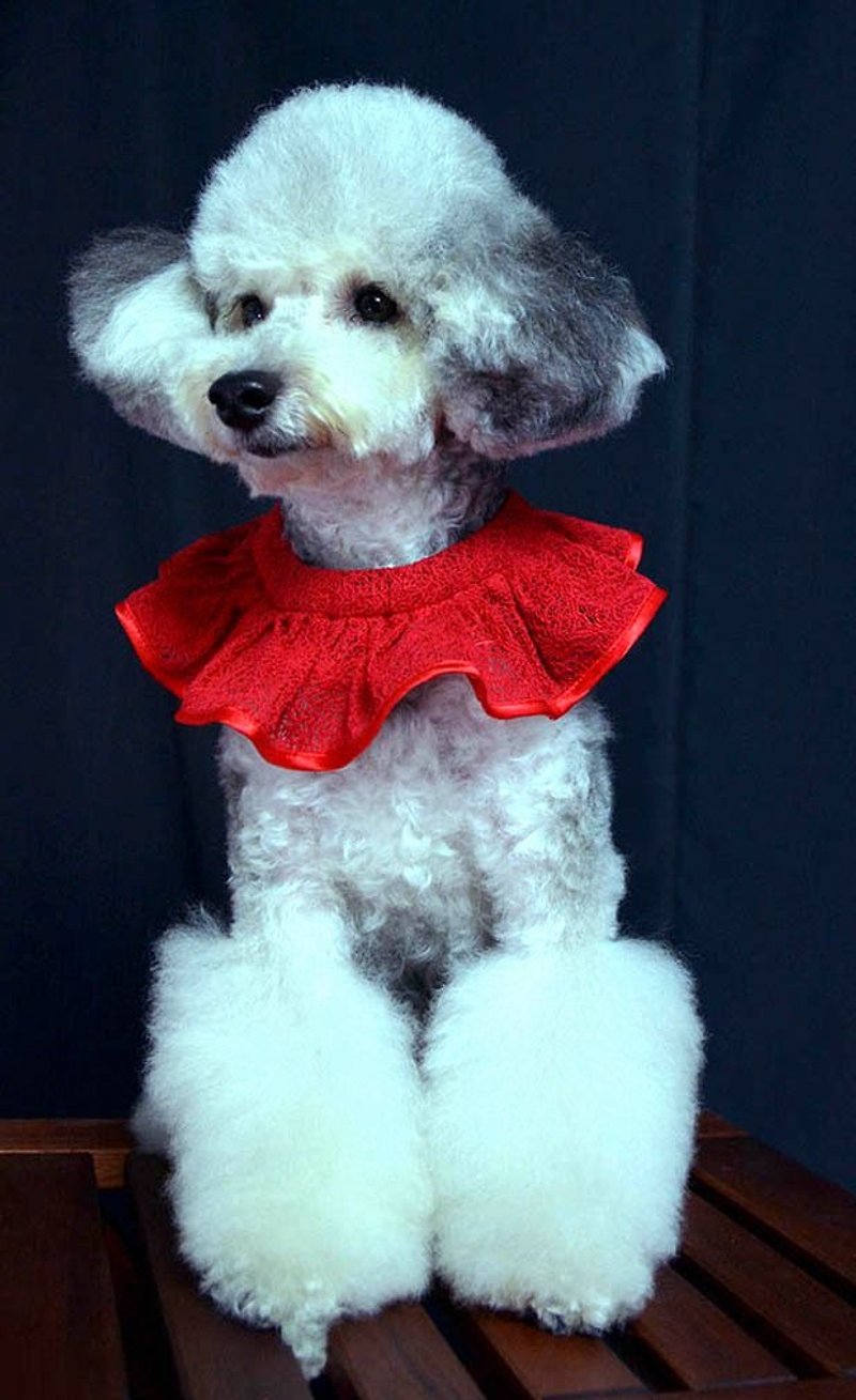 Pet Ruffle Collar-Red Lace RD (XS/S/M/L) - Clothing & Accessories - Other Materials Red