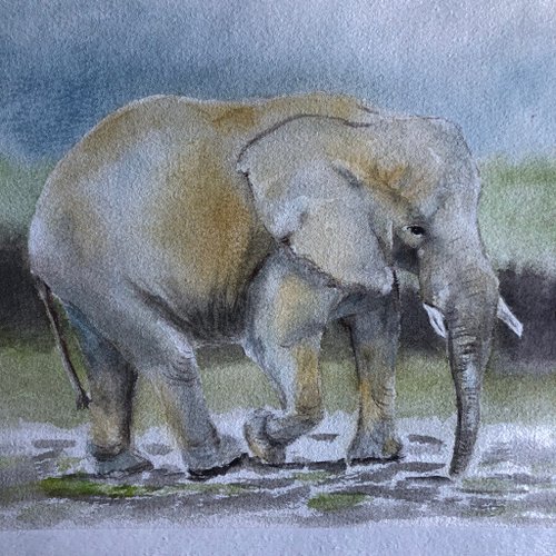 Alisa-Art Elephant original watercolour painting wall art kitchen cabinets