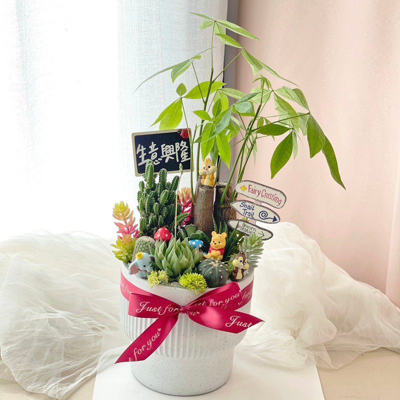 PD185 cute doll succulent cactus shaped potted plant/opening potted plant to celebrate the opening - ตกแต่งต้นไม้ - พืช/ดอกไม้ 