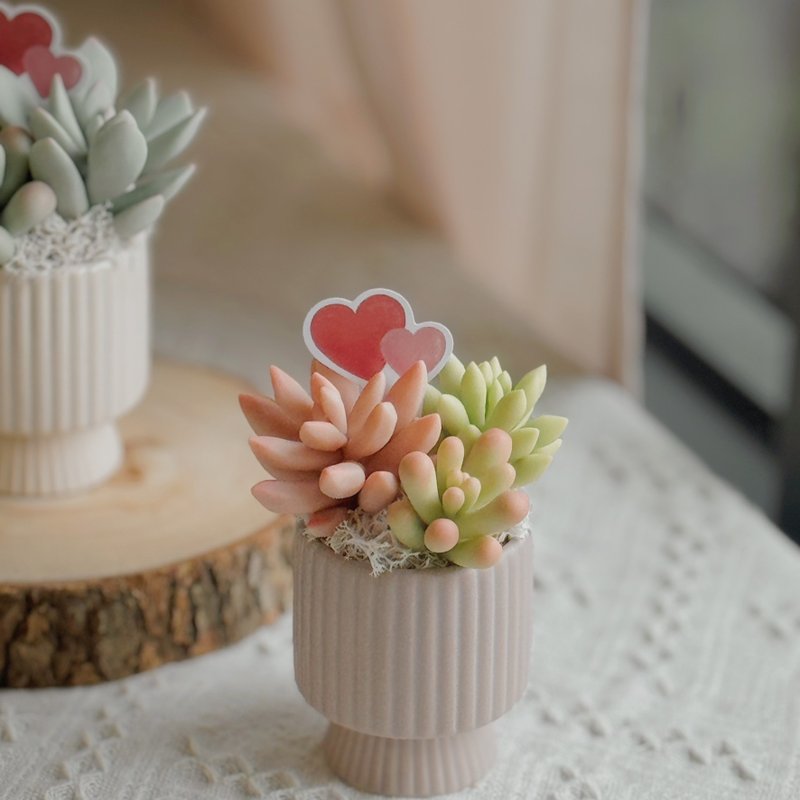 -The first choice for gifts-Clay succulent garden C-2-vertical pattern (small) - Items for Display - Clay Multicolor