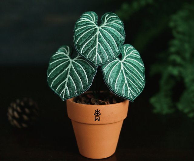 フィロデンドロン グロリオーサム -観葉植物 - 刺繍の入った鉢植え