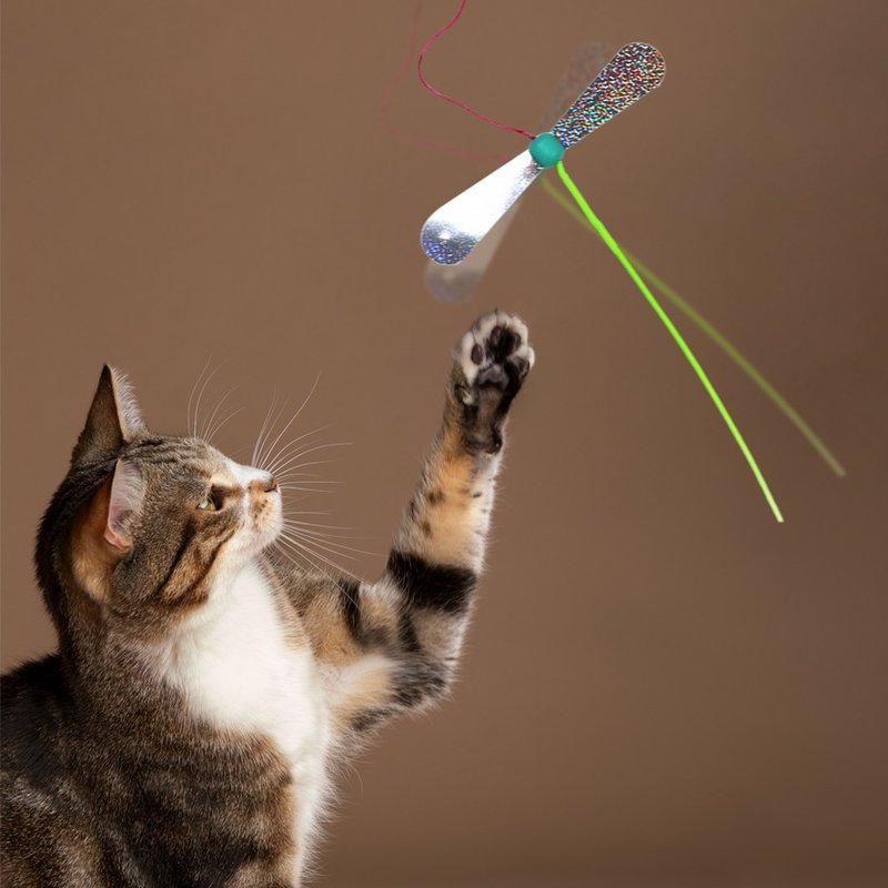 [Japanese CattyMan] Inspire cats’ hunting spirit! Soft-handled magic flying insect telescopic cat teaser stick - Pet Toys - Other Materials 